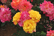 image0421