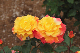 image0423