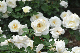 image0424