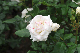 image0429