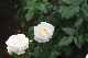 image0430