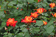 image0434