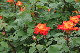 image0435