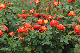 image0436