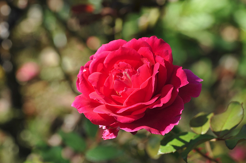 image0002