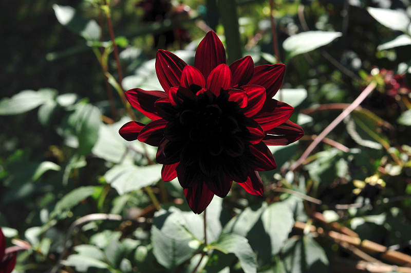 image0125
