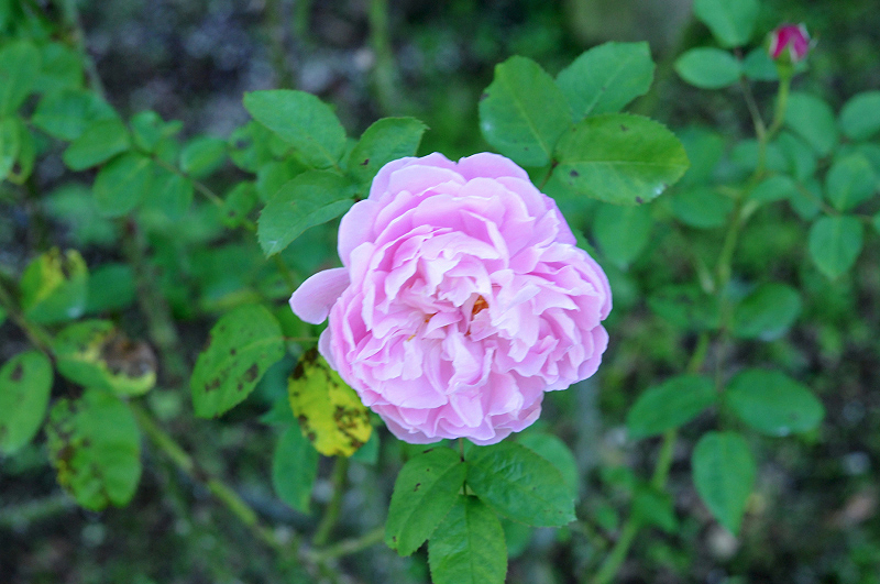 image0128