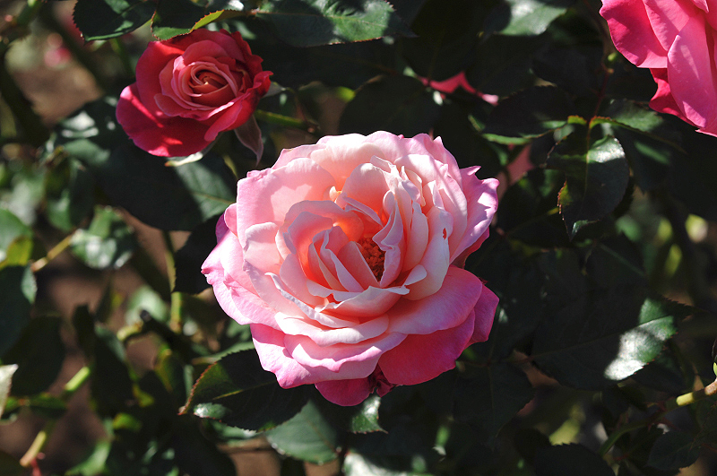image0144