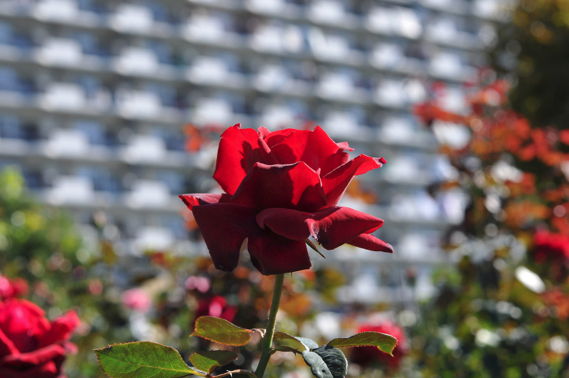 image0145