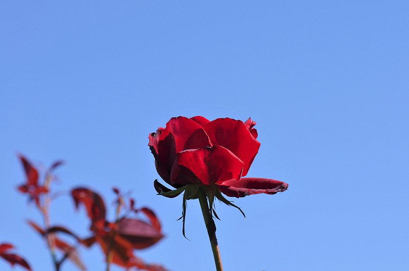 image0146