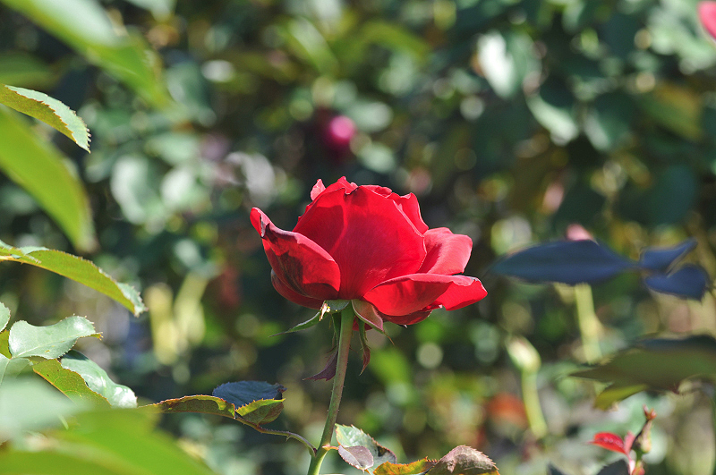 image0147