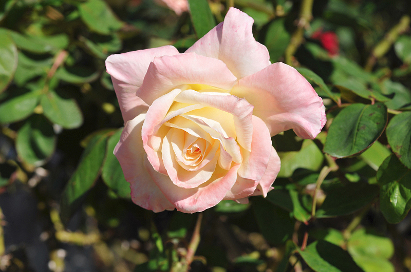 image0150