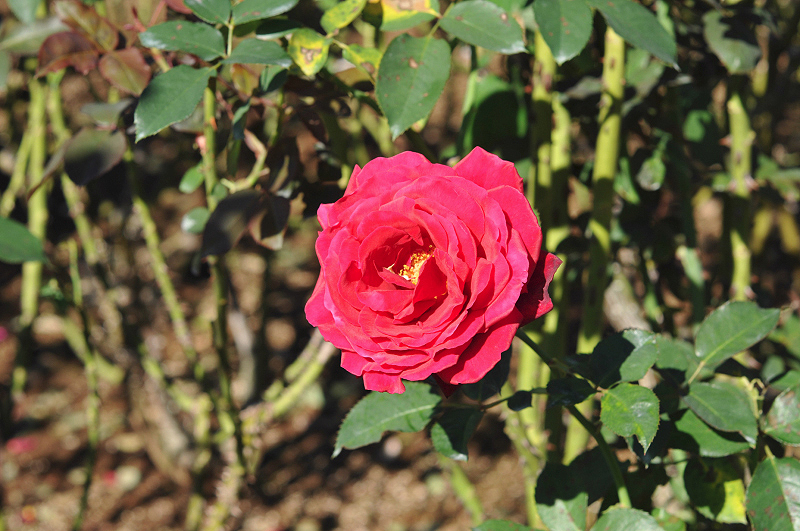 image0151