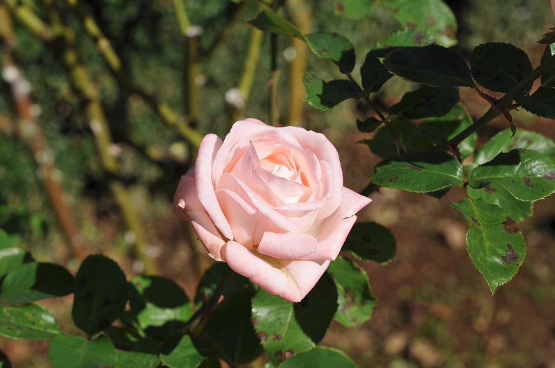 image0152