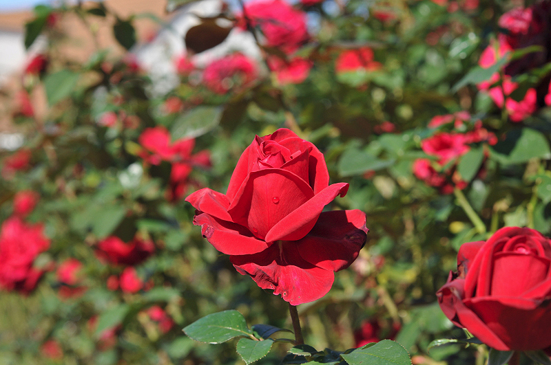 image0157