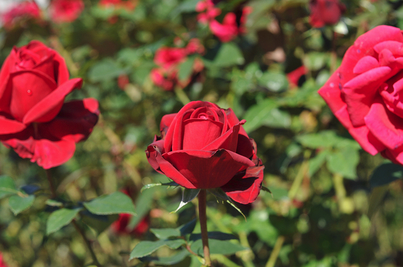 image0158