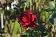image0160