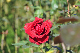 image0163