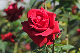 image0167