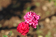 image0171
