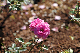 image0173