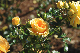 image0174