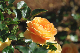image0175