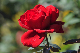 image0179