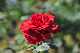 image0181