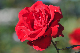 image0184