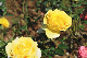 image0187
