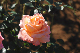 image0188