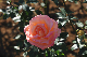 image0189