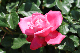 image0192