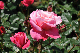 image0193