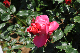 image0194