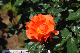 image0197