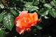 image0198