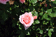 image0202