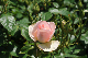 image0203