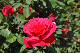 image0208