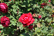 image0209