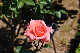 image0213