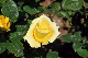 image0214