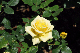image0216
