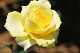 image0218