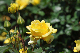 image0219