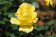 image0220