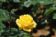 image0221