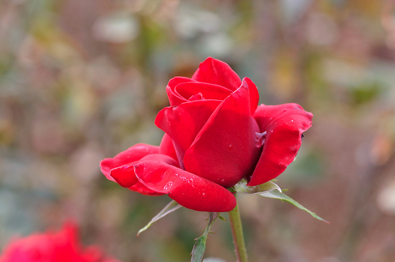 image0097